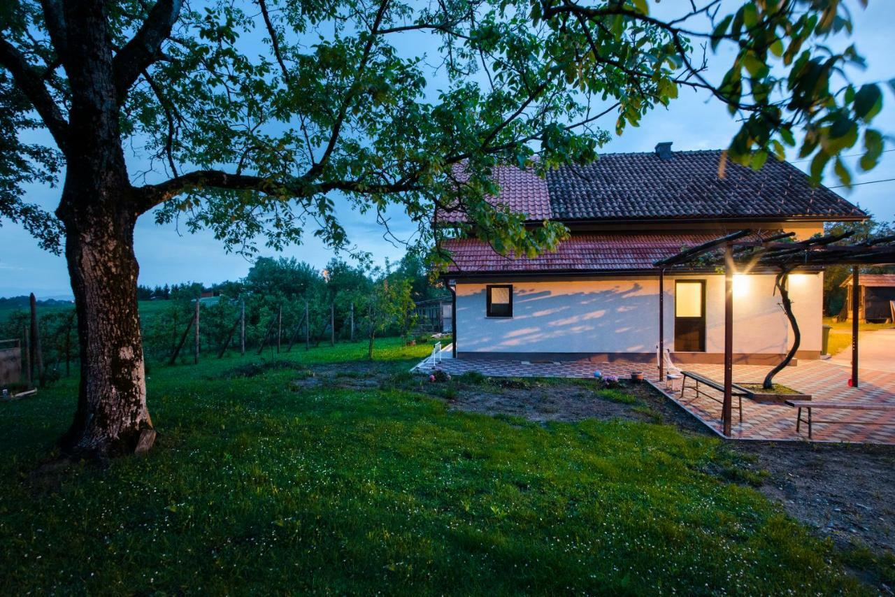 Holiday Home Dandelion With Hot Tub & Sauna Cetingrad Екстер'єр фото